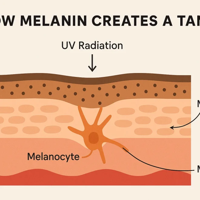 The Science of Melanin